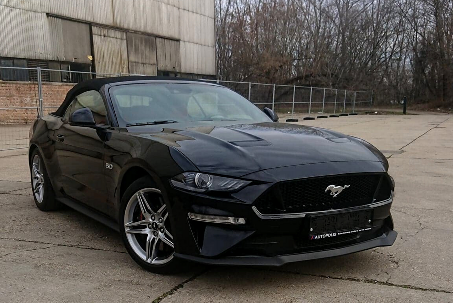 FORD MUSTANG CABRIO 5.0 V8 FEKETE Bérlés