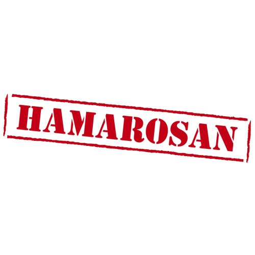 Hajóbérlés Hamarosan !